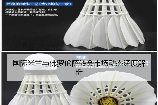 国际米兰与佛罗伦萨转会市场动态深度解析